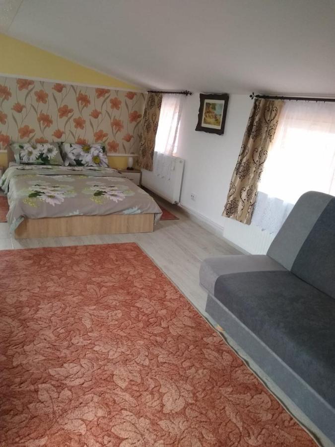 Olimpia Apartments 阿尔巴·尤利亚· 外观 照片